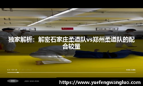 独家解析：解密石家庄柔道队vs郑州柔道队的配合较量
